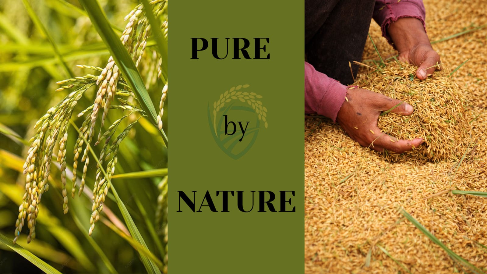 Sahib Agrotech - Rice Products